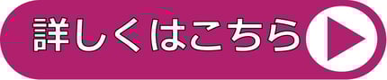Vマネ 詳しくは