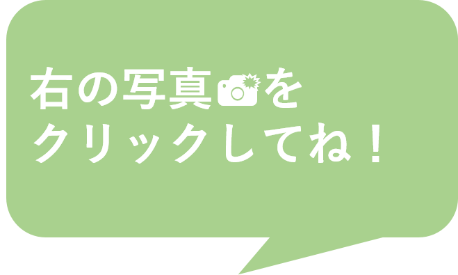エコジカセリフ1